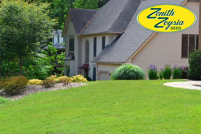 How to Seed a NEW Zenith Zoysia Lawn | Super-Sod Academy